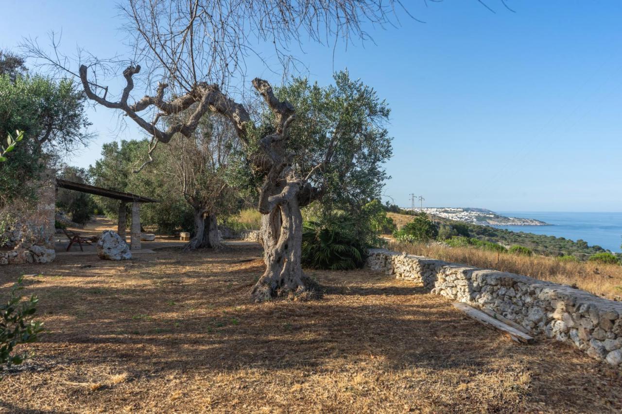 Levante E Libeccio Villette Vista Mare - Marina Di アンドラーノ エクステリア 写真