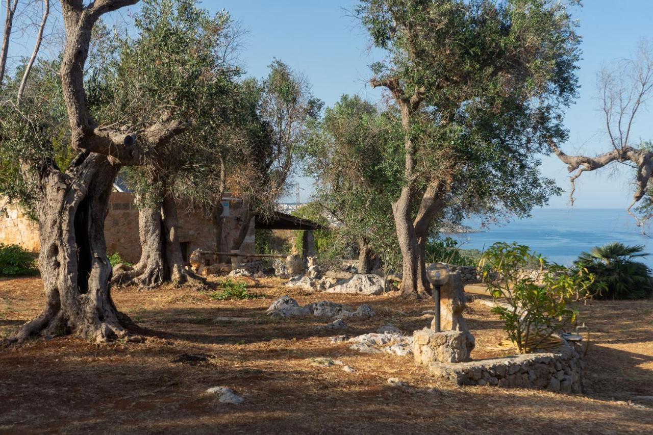 Levante E Libeccio Villette Vista Mare - Marina Di アンドラーノ エクステリア 写真