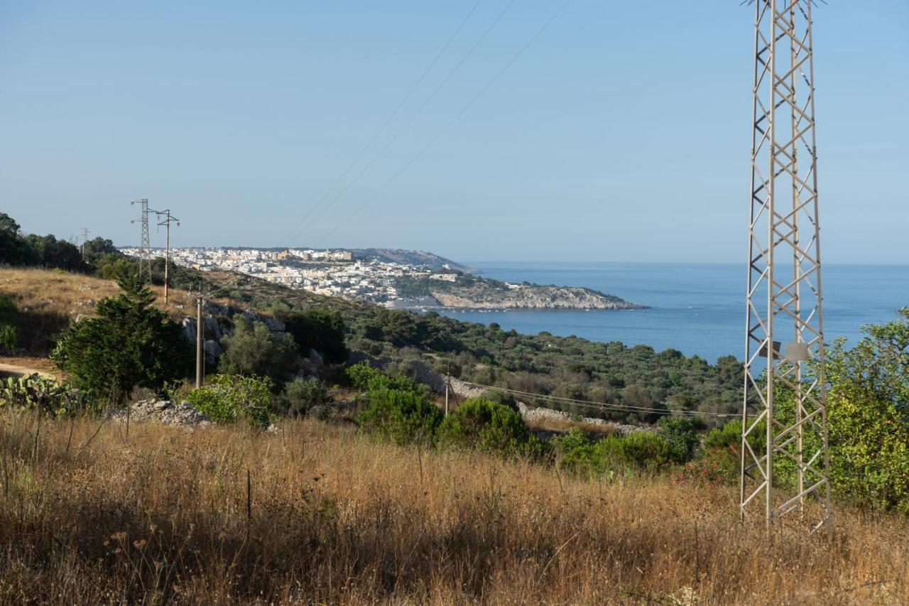 Levante E Libeccio Villette Vista Mare - Marina Di アンドラーノ エクステリア 写真